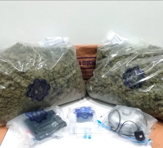 Almost €400k of cannabis seized at rural Galway property