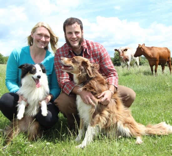 Dairy and mixed-stock farmers to host farm walk next weekend