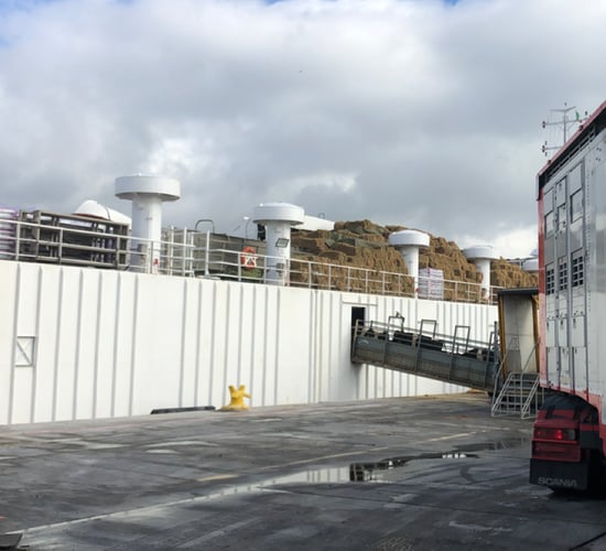 Video: Viastar loads bulls on boat for export overseas