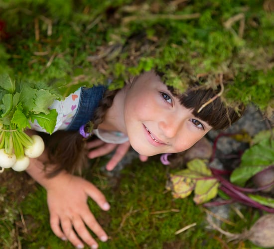 GIY aims to create gardens in all primary schools by 2030