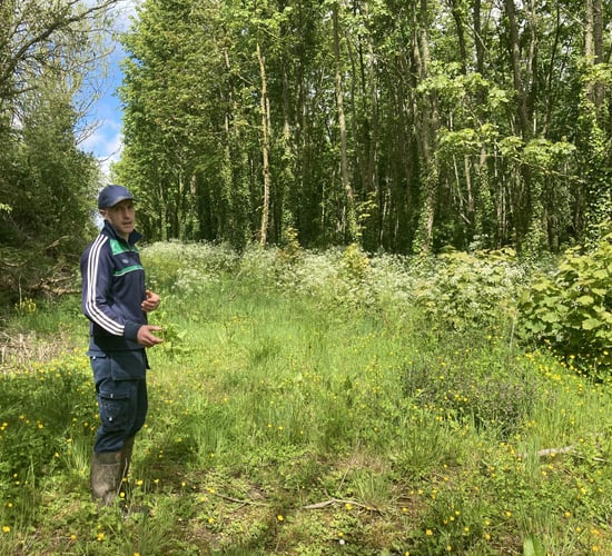 Farming for Nature: Dairy farmer cuts nitrogen use by 25%