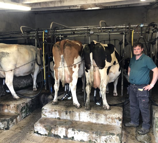 Video: Old-school system on Leitrim suckler and dairy farm