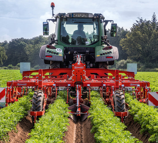 Lemken makes mechanical weed control possible in ridge crops