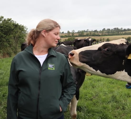 NDC farmer ambassadors to tell 'real story' of dairy sector