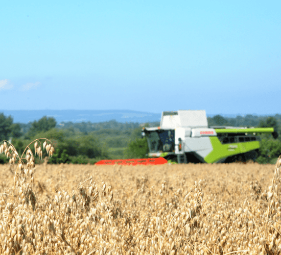 Flahavan's seeks more organic oat growers to meet demand