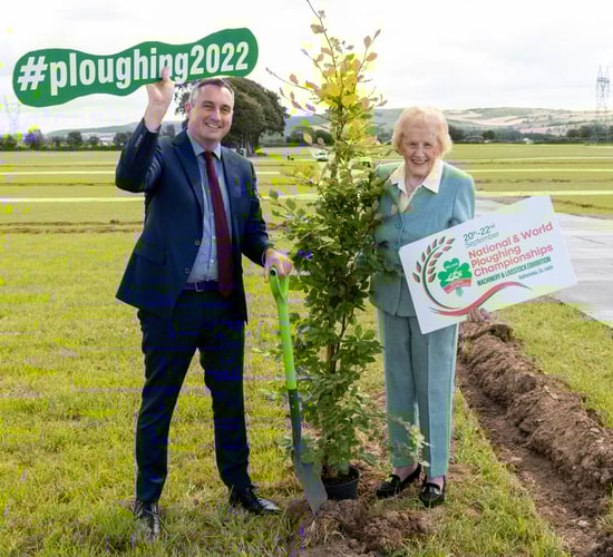 BOI to give away 1,000 hedgerow plants at Ploughing