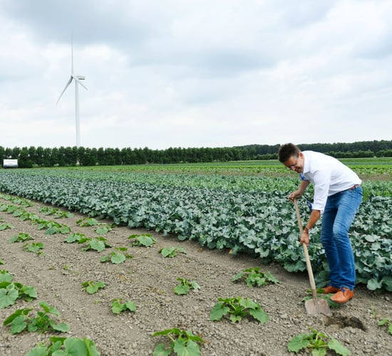 Joined-up thinking leads to nitrogen-reducing pilot on Dutch dairy farms