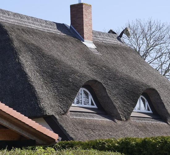 Grant of up to €20,000 for historic thatched buildings