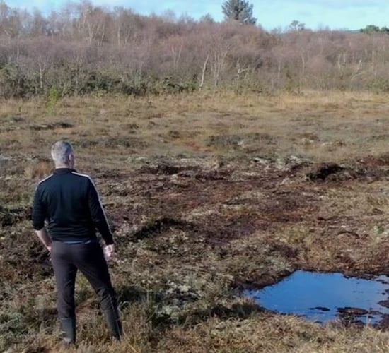 Heritage week: 'Have a different day on the bog'