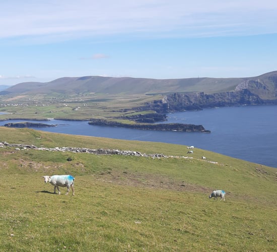 Met Éireann: Mainly dry conditions with sunshine this week