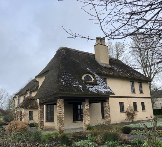 Master in his craft: Thatcher with lifelong passion for old houses