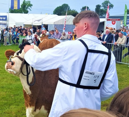 Site map: Find your way around Tullamore Show 2025