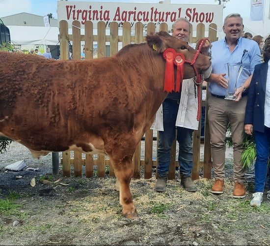 Gallery: Cattle results and winners at the Virginia Show