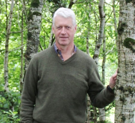 Current tree planting season in NI is potential 'write-off'