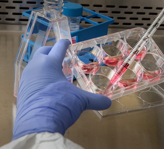 Bimeda expands further with acquisition of Afrivet