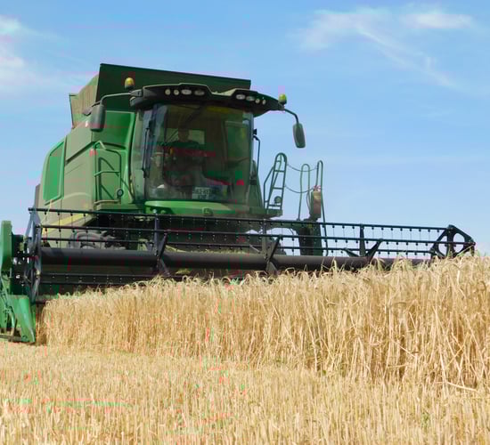 'Vital time' to present case for Irish farmers in next CAP - IGGG
