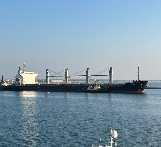 Foreign affairs minister to discuss grain exports during Ukraine visit