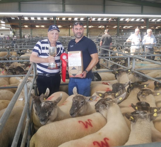 Hoggets top €275/head at Suffolk-cross show and sale