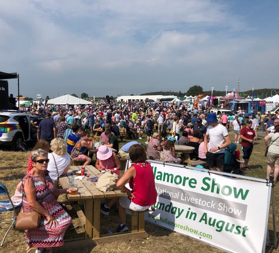 Dairy showing results from Tullamore show