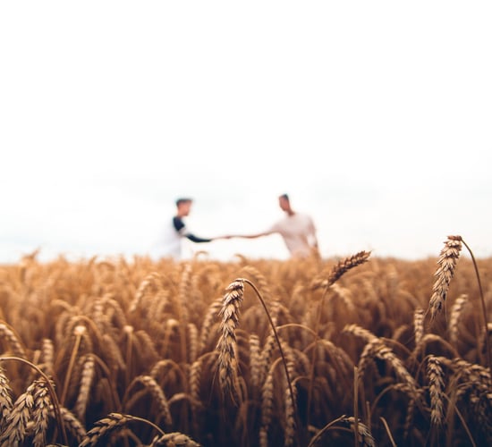Farmers urged to take part in series of walks for mental health