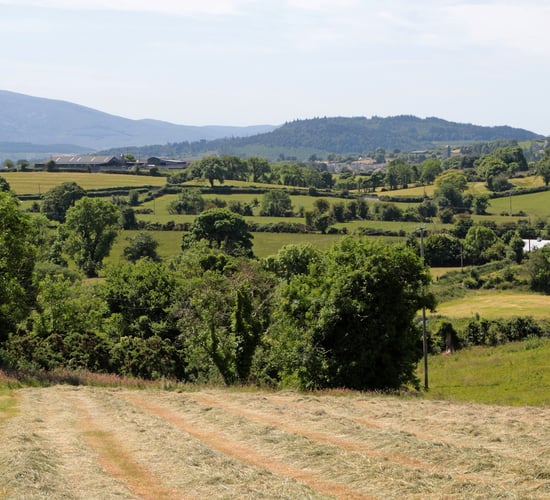 Farmers called on to have their say on the future of forests in Down
