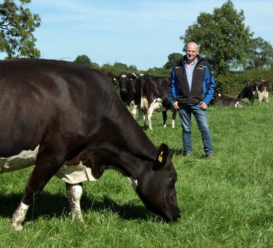 The benefits of combining robotic milking and grazing