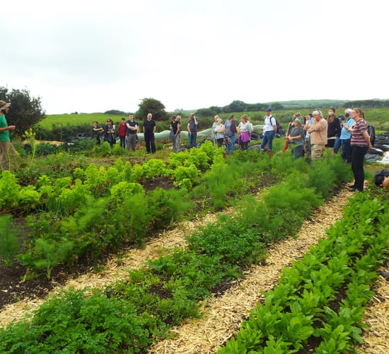 FFN farm walks to focus on regenerative agriculture next week