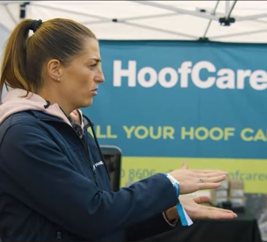 Hoof health: 'So important to look after lame cows straight away'