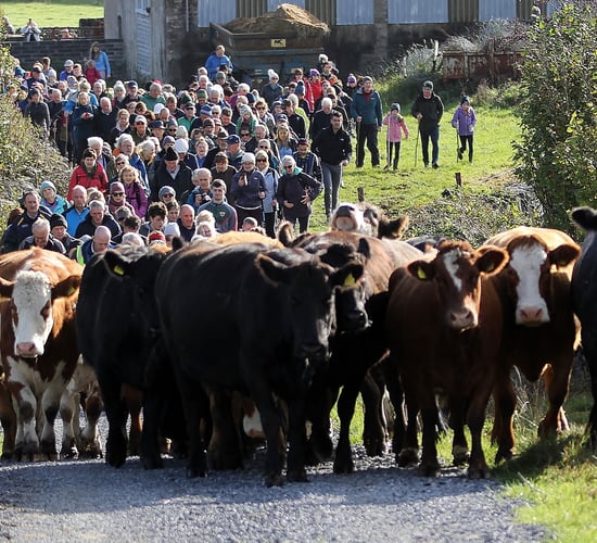 Burren Winterage Weekend offers packed programme