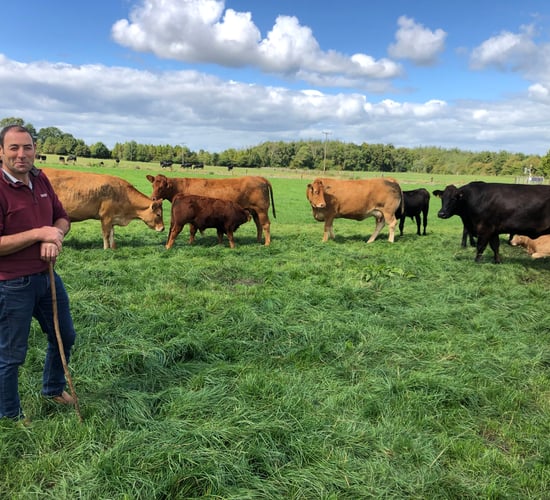 Beef Focus: Gurteen College's suckler and beef unit