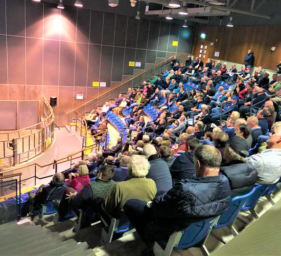 Kepak cattle procurement boss gives beef-trade outlook