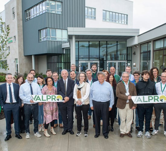 Teagasc coordinates European project on plant protein