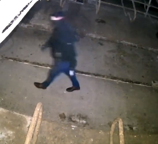 Calving camera catches power washer thieves on Tipperary farm