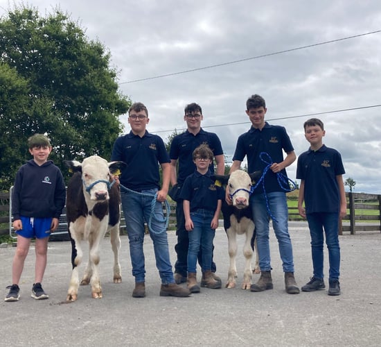 Hereford groups set up calf-rearing programme for charity