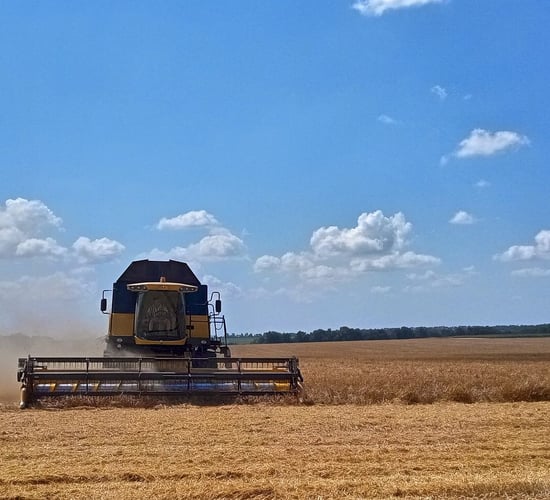 Grain and oilseed harvest in Ukraine could exceed 65m tonnes