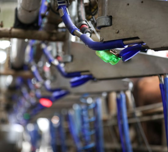 SCC sensor 'best investment' says west Clare dairy farmer