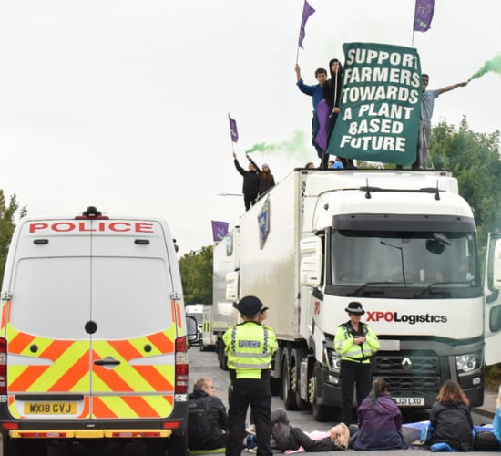 Three UK dairy sites blocked by Animal Rebellion protestors