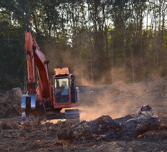 EU Commission reveals 'high risk' countries for  deforestation