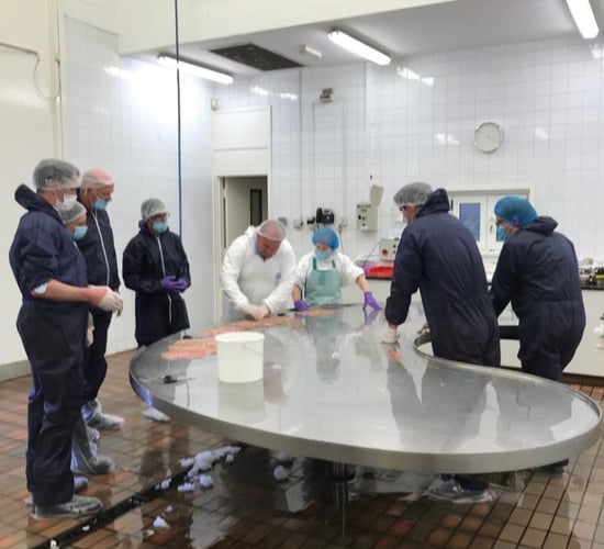 Irish pig vets trained to identify permanent gut damage