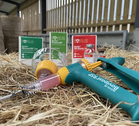 Competition: Fancy winning some products?