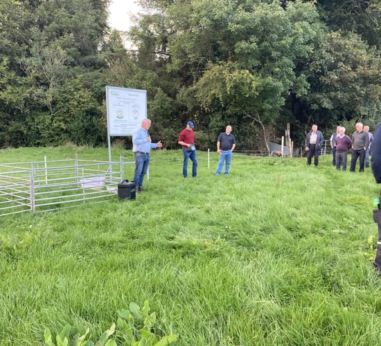 Farm walk: Anthelmintic resistance causing NZ sheep farmers to quit