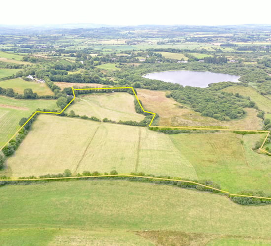 'Lovely 17.5ac lakeside holding' for sale in west Cork