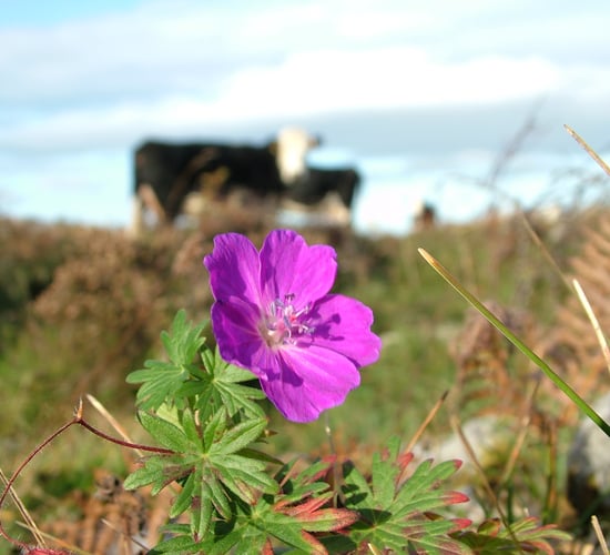 Public encouraged to vote in Farming for Nature awards
