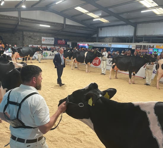 Video: AXA National Dairy Show 2022 ends on high note