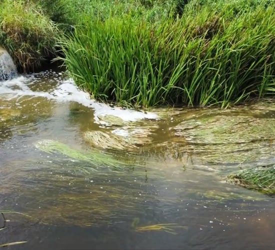 EPA: 6 food and drink sites subject to 'targeted enforcement'
