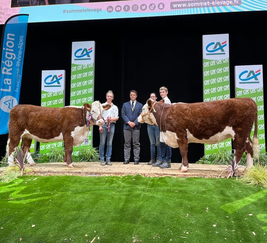 Ireland to host next European Hereford Breed Conference