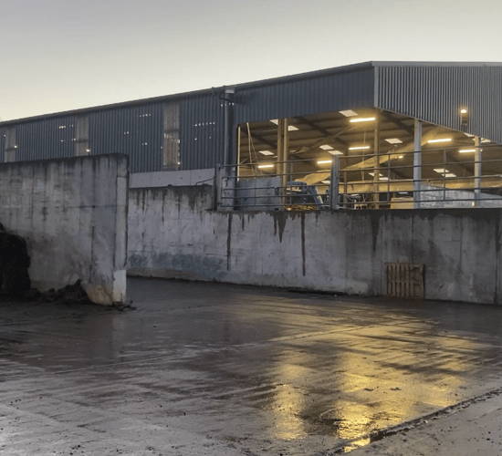 Buildings Focus: Milking and feeding Fleckvieh cows with robots in Monaghan