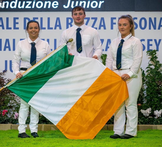 Success for young IHFA members at Open Junior Show in Italy