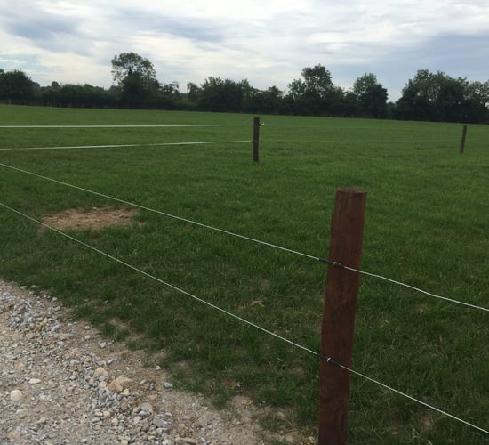 Purchase of creosote fence posts allowed up to April 2023