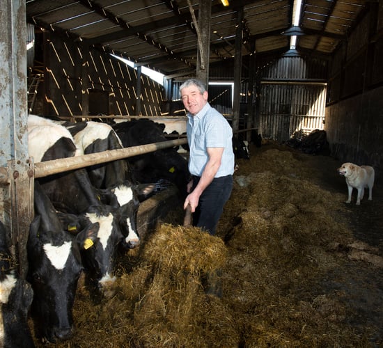 Kerry IFA chair 'glad' formal complaint has been dealt with